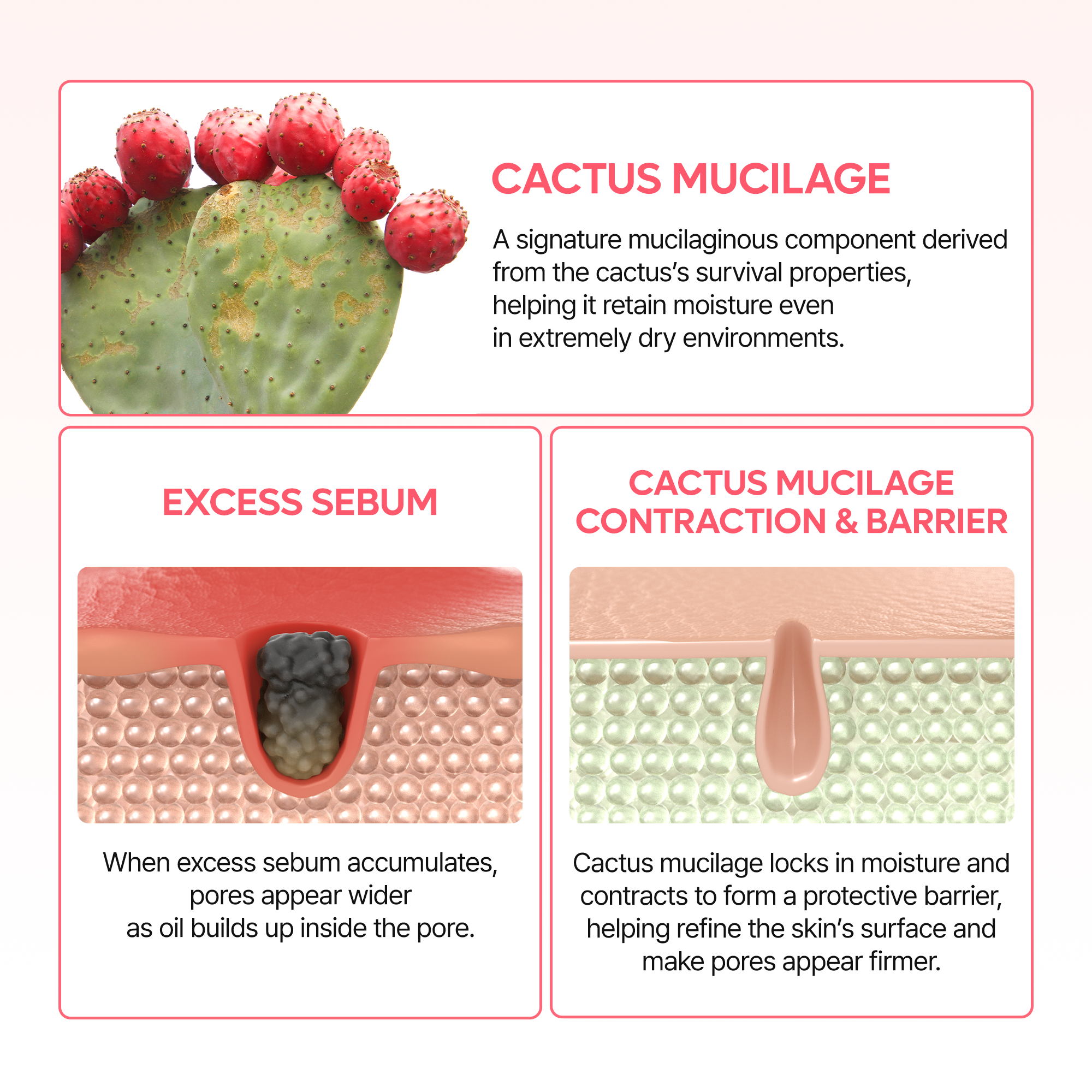 Refined pores calm skin