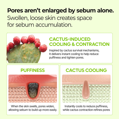 CACTOX Pore Relief Jelly Serum Mist