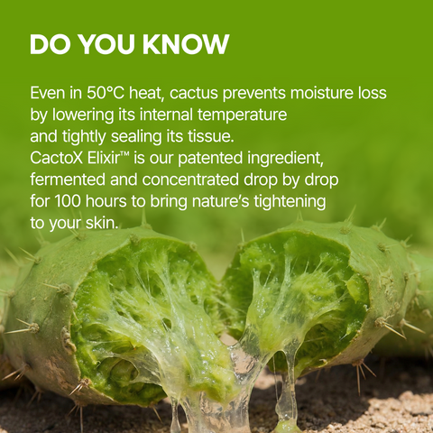 CACTOX V-Lifting Mewing Band 4EA