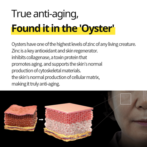 Oyster Pep-3 Renewal Anti-Aging Line